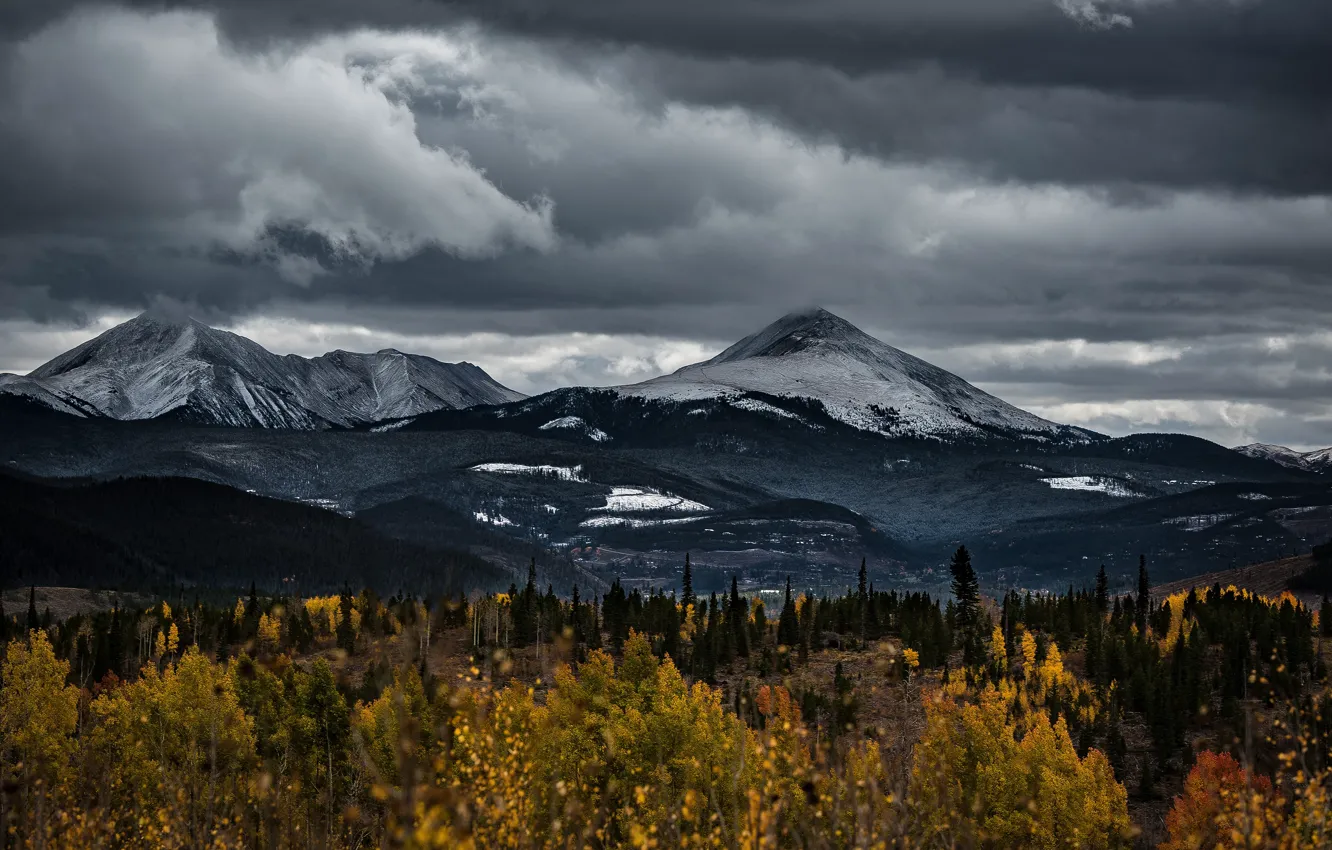Фото обои осень, лес, облака, снег, горы, тучи, пасмурно, холмы