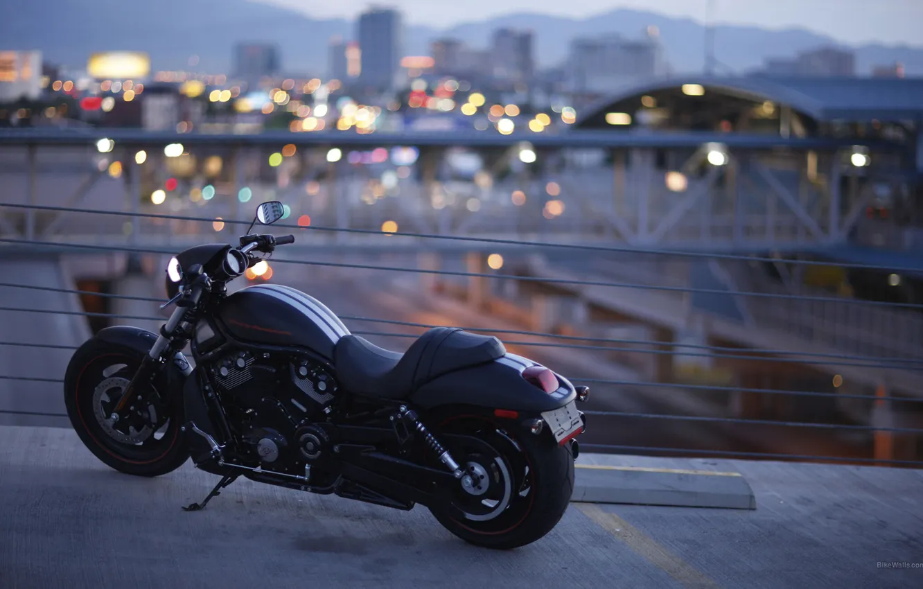 Фото обои мост, город, мотоцикл, Harley-Davidson