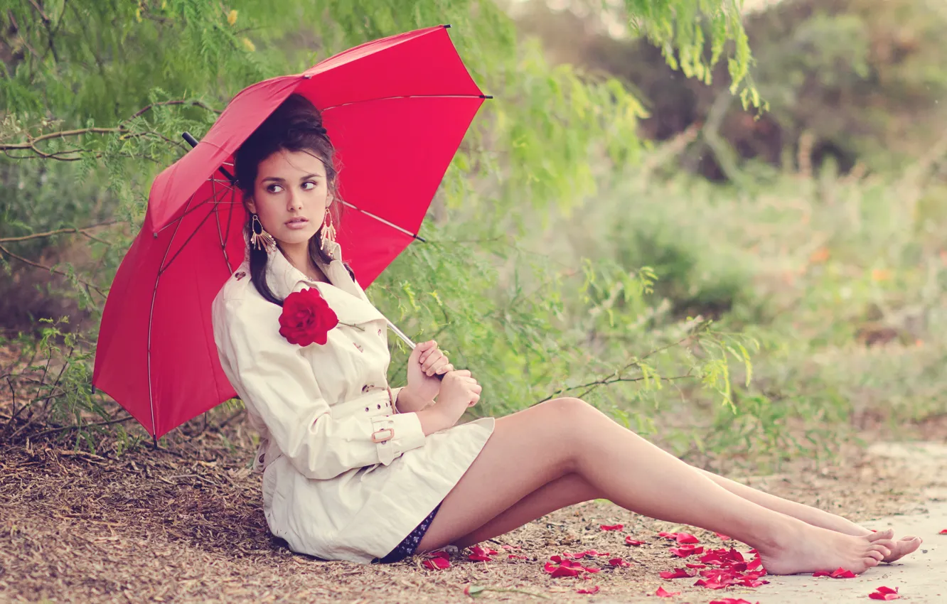 Фото обои цветок, взгляд, красный, лицо, поза, зонт, лепестки, брюнетка
