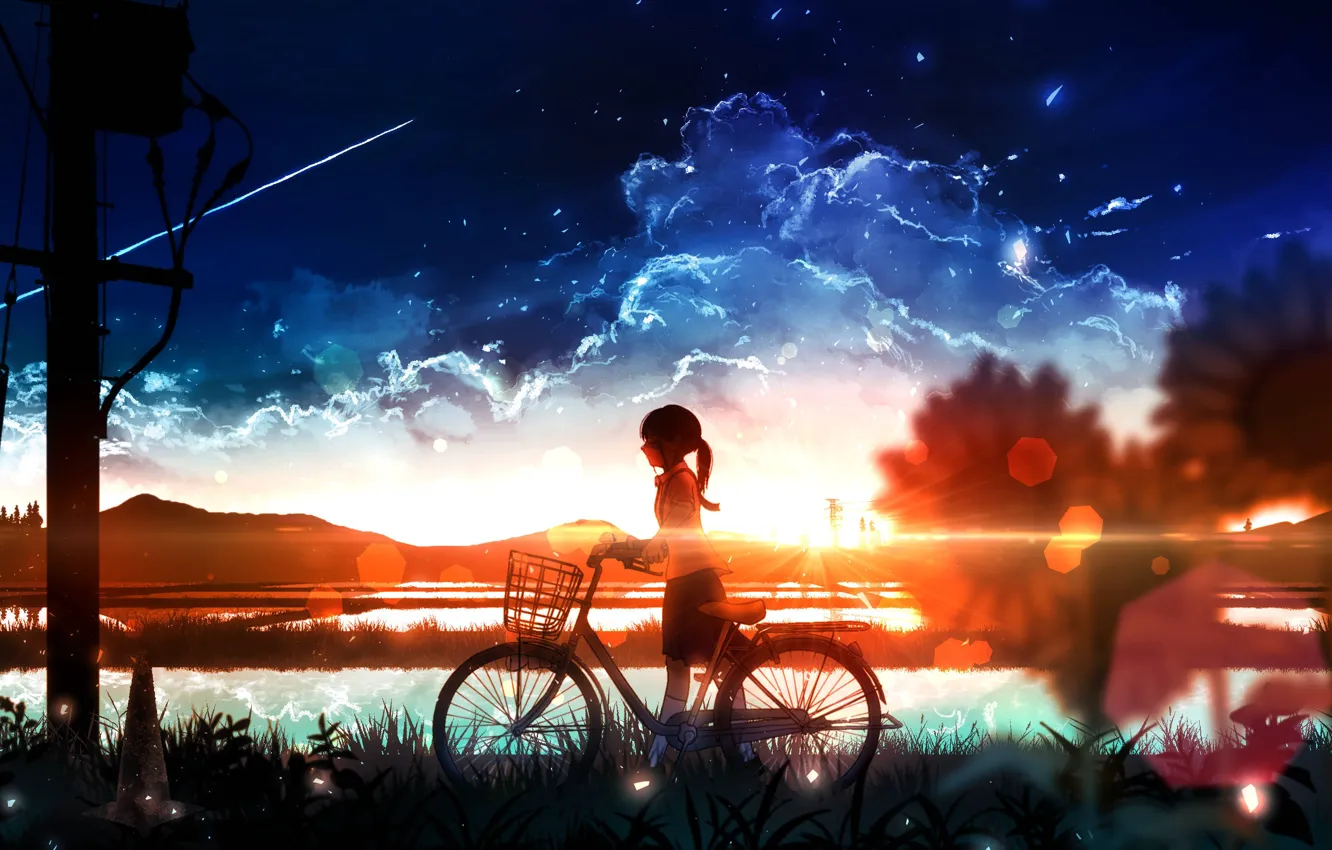 Фото обои вода, девушка, подсолнухи, закат, велосипед