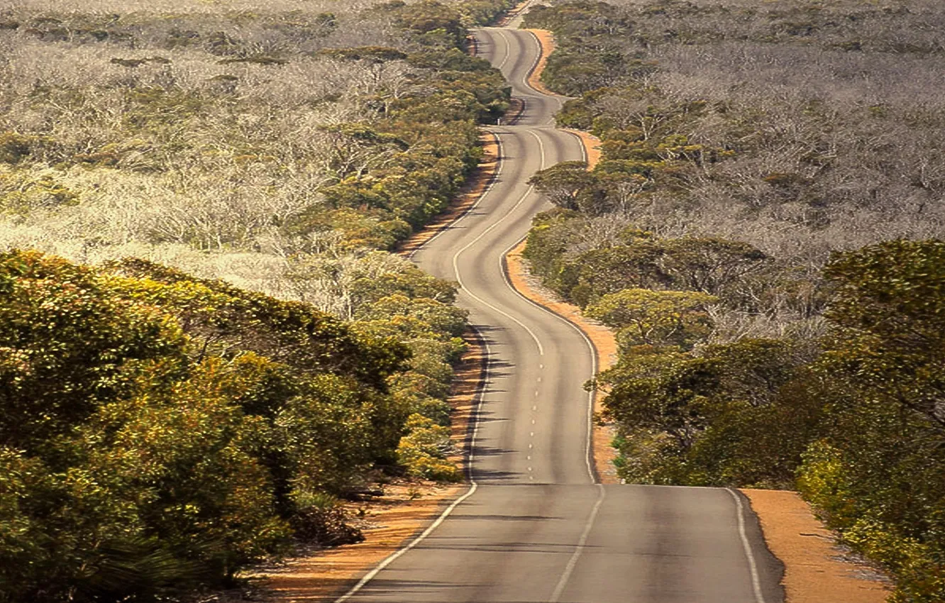 Фото обои дорога, путь, шоссе