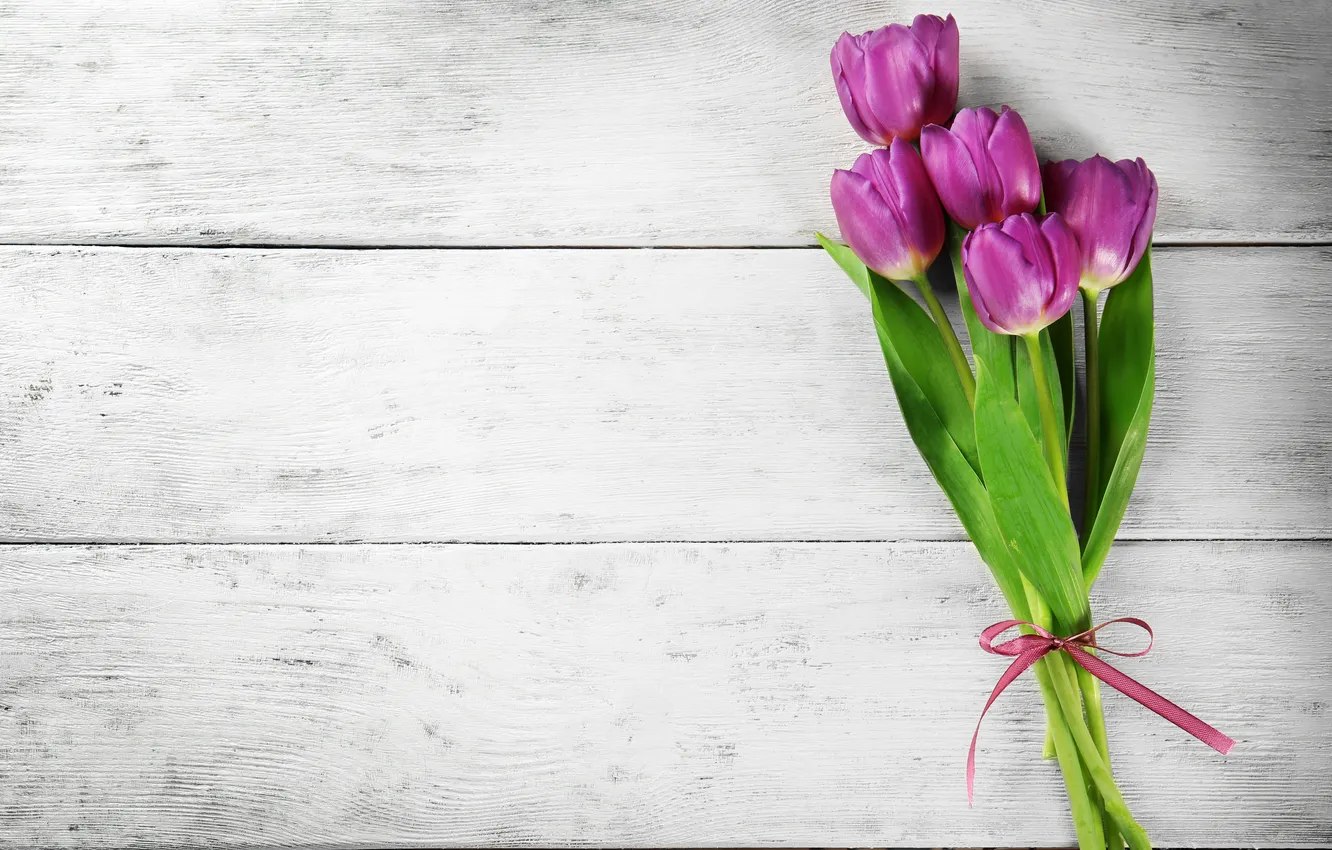 Фото обои цветы, букет, тюльпаны, wood, flowers, tulips, spring, purple
