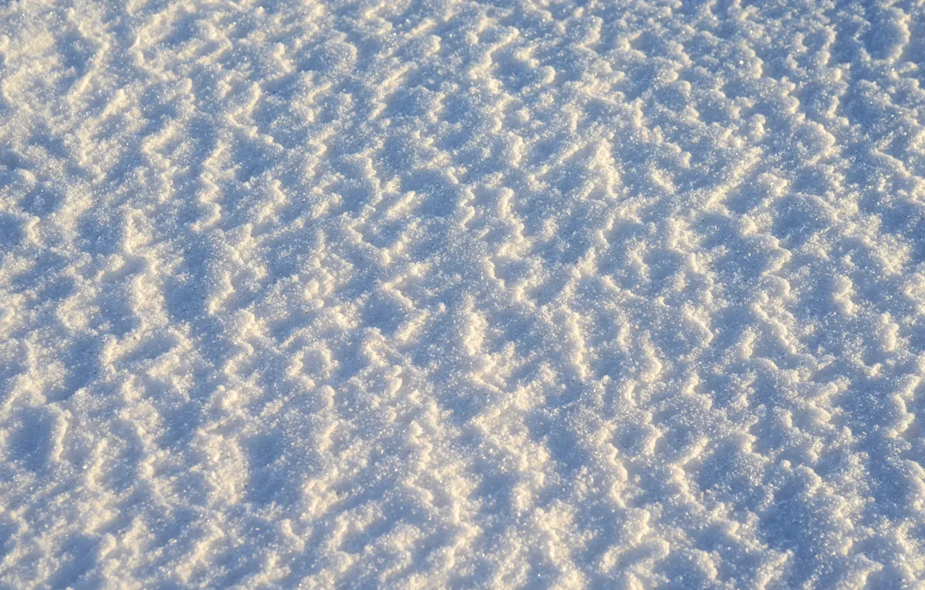 Фото обои зима, белый, снег
