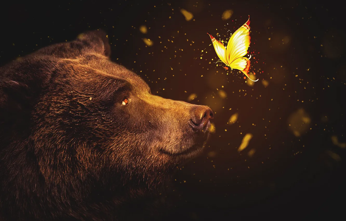 Фото обои abstract, wallpaper, bear, butterfly, dreams, abstract animals, abstract background, wallpaper HD
