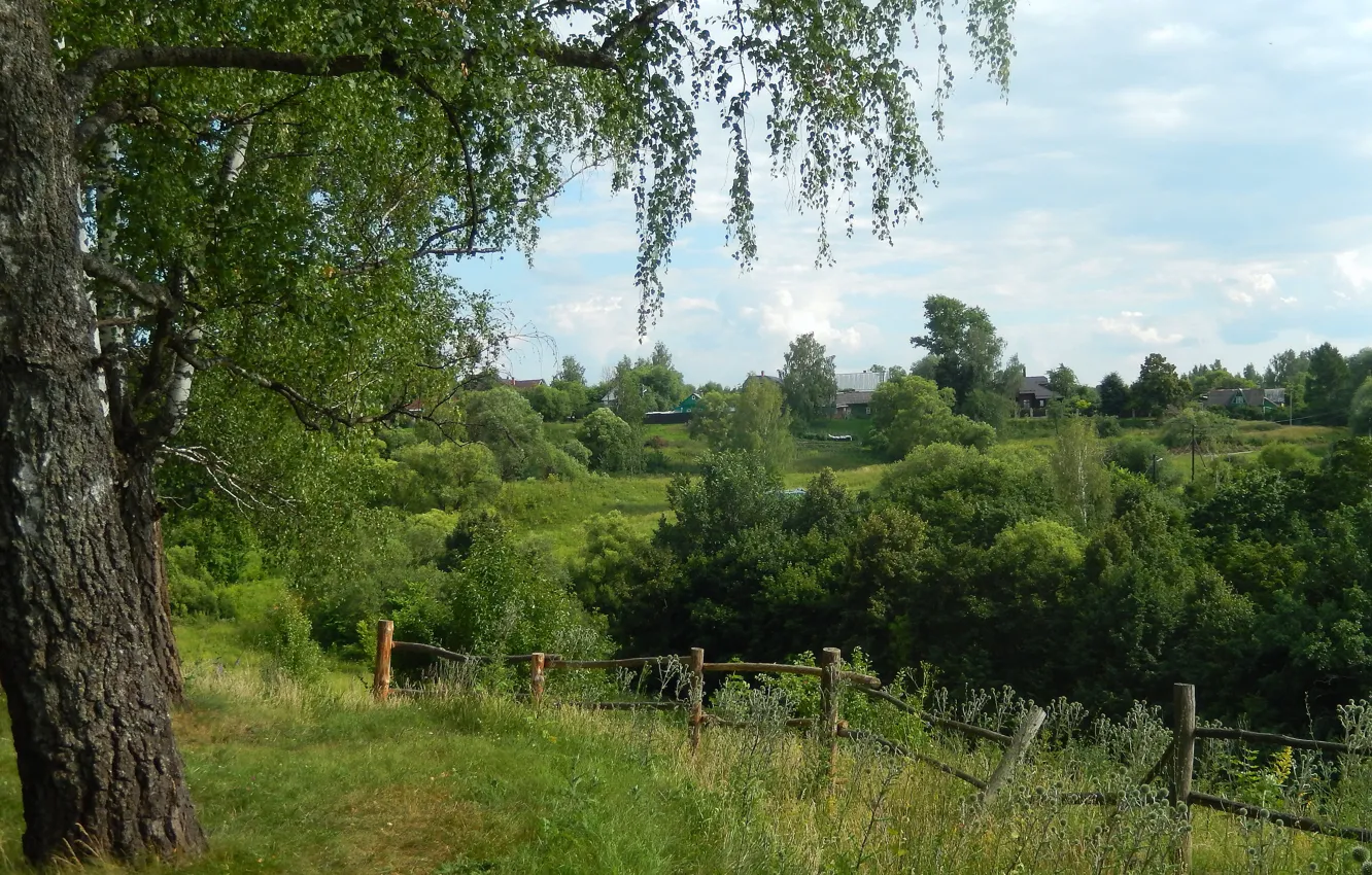 Фото обои небо, трава, деревья, природа, widescreen, обои, wallpaper, кусты