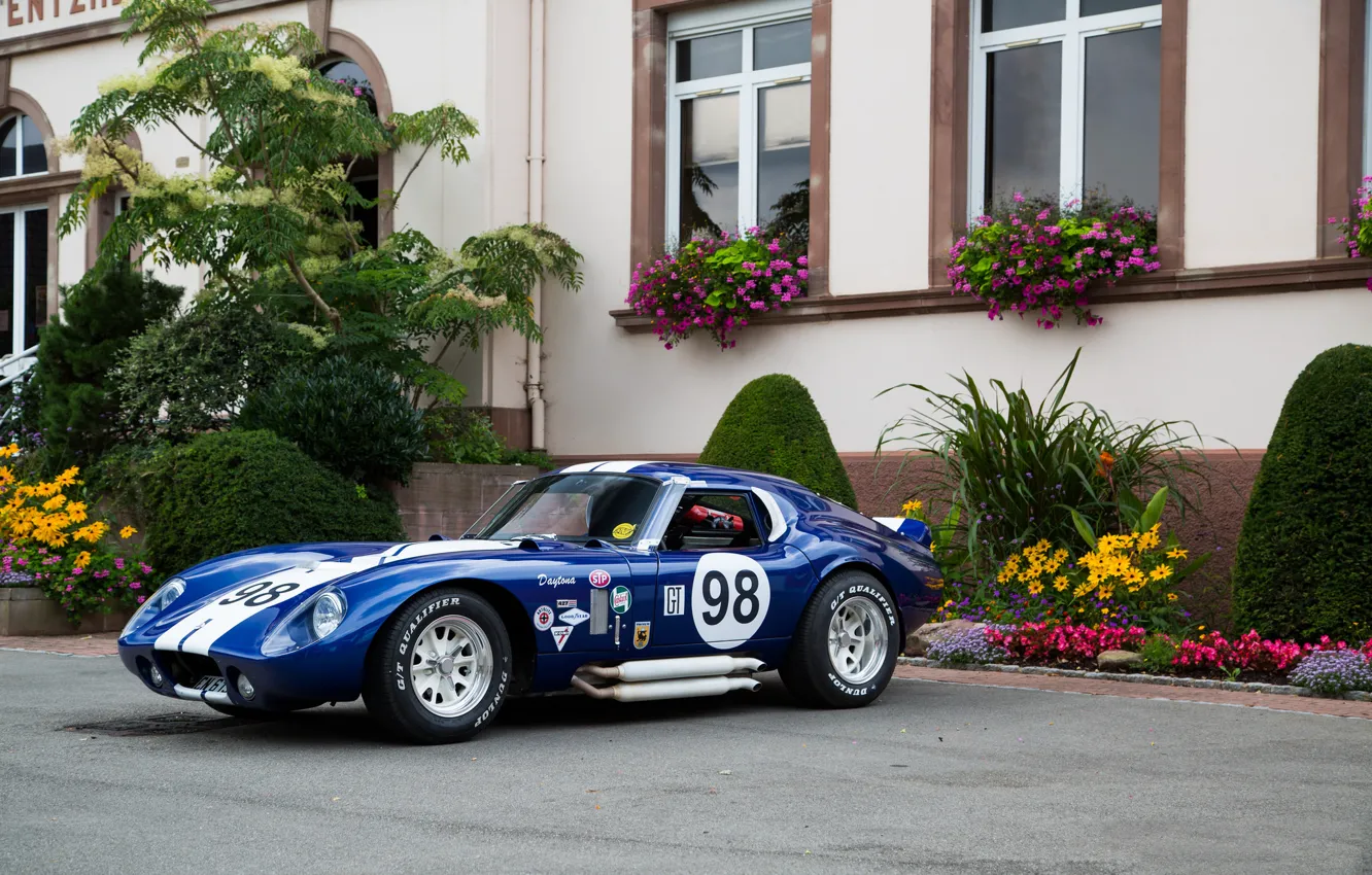 Фото обои shelby, blue, cobra, daytona