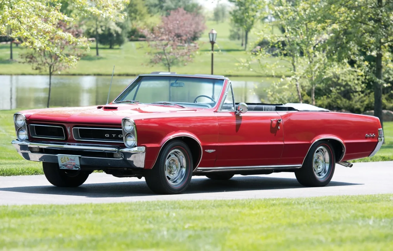Фото обои красный, фон, 1965, Pontiac, GTO, Понтиак, передок, Muscle car