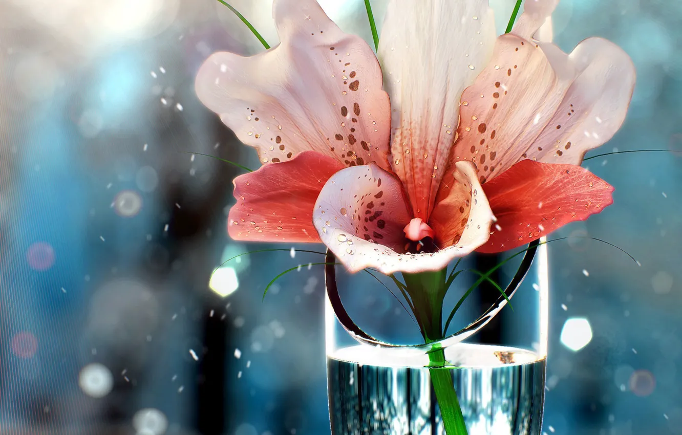 Фото обои цветок, вода, рюмка