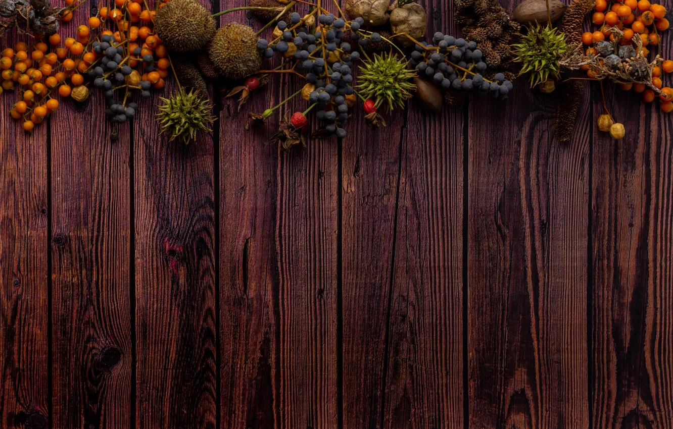 Фото обои осень, ягоды, темный фон, доски, растения, текстура, плоды, виноград