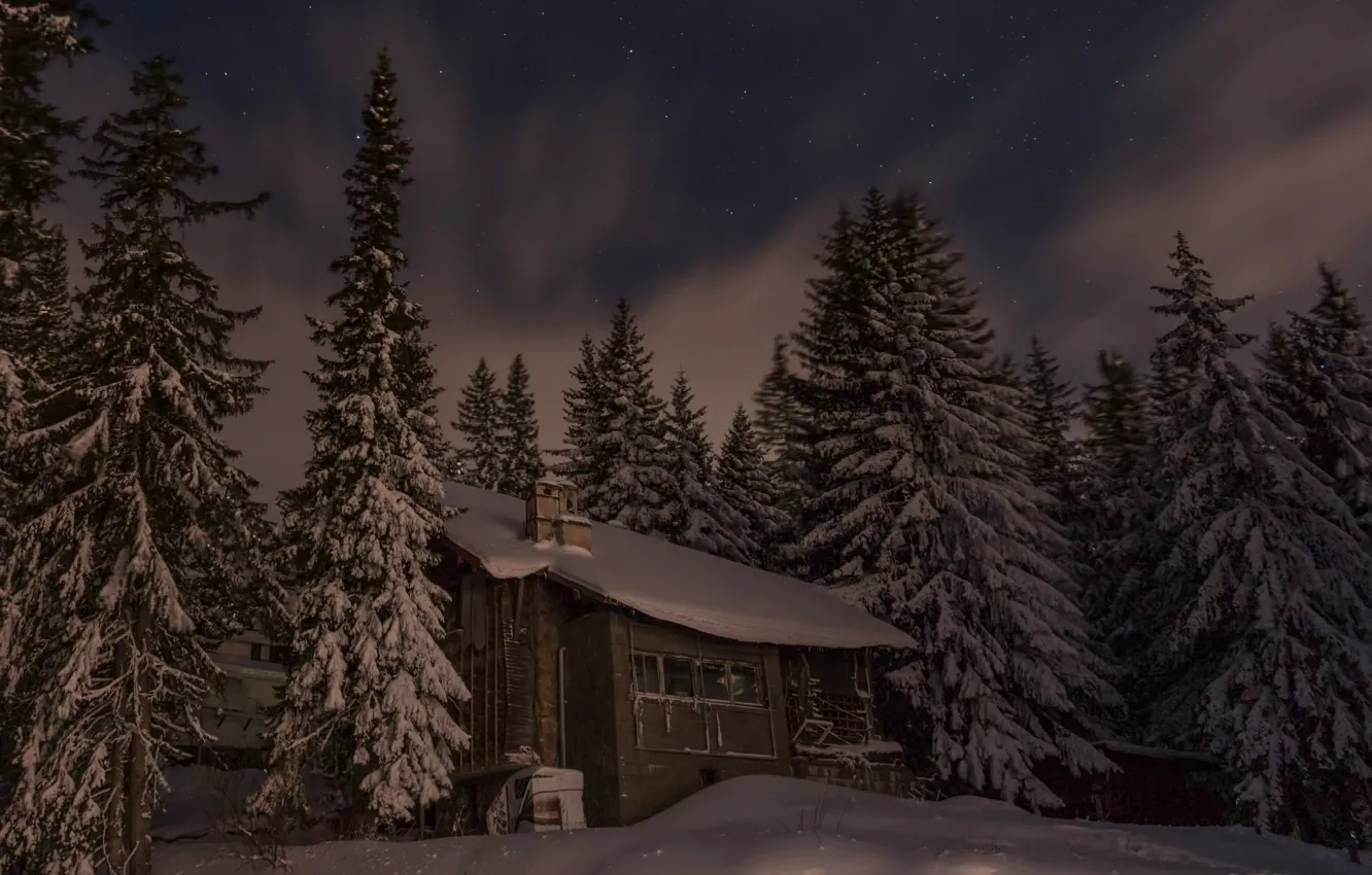 Фото обои зима, снег, деревья, пейзаж, ночь, природа, дом, ели