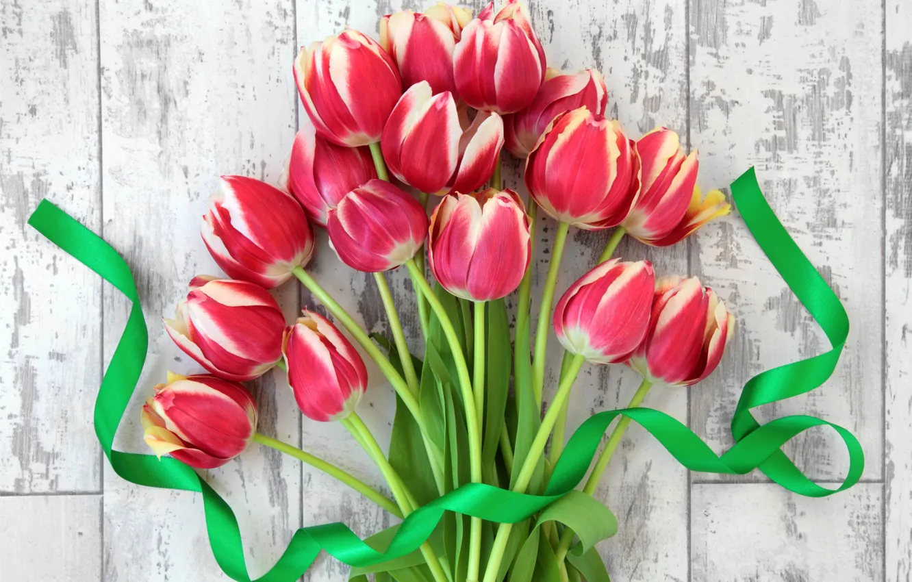 Фото обои цветы, букет, лента, тюльпаны, fresh, flowers, tulips