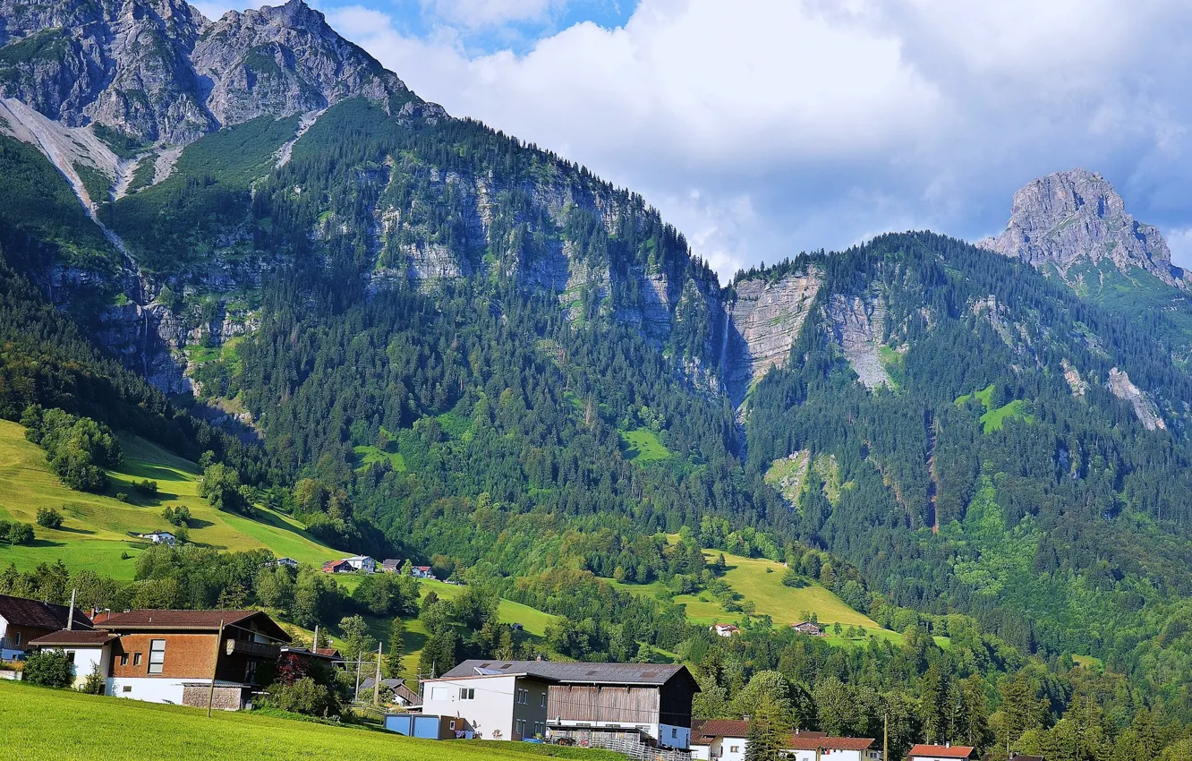 Фото обои зелень, лес, небо, трава, солнце, облака, деревья, горы