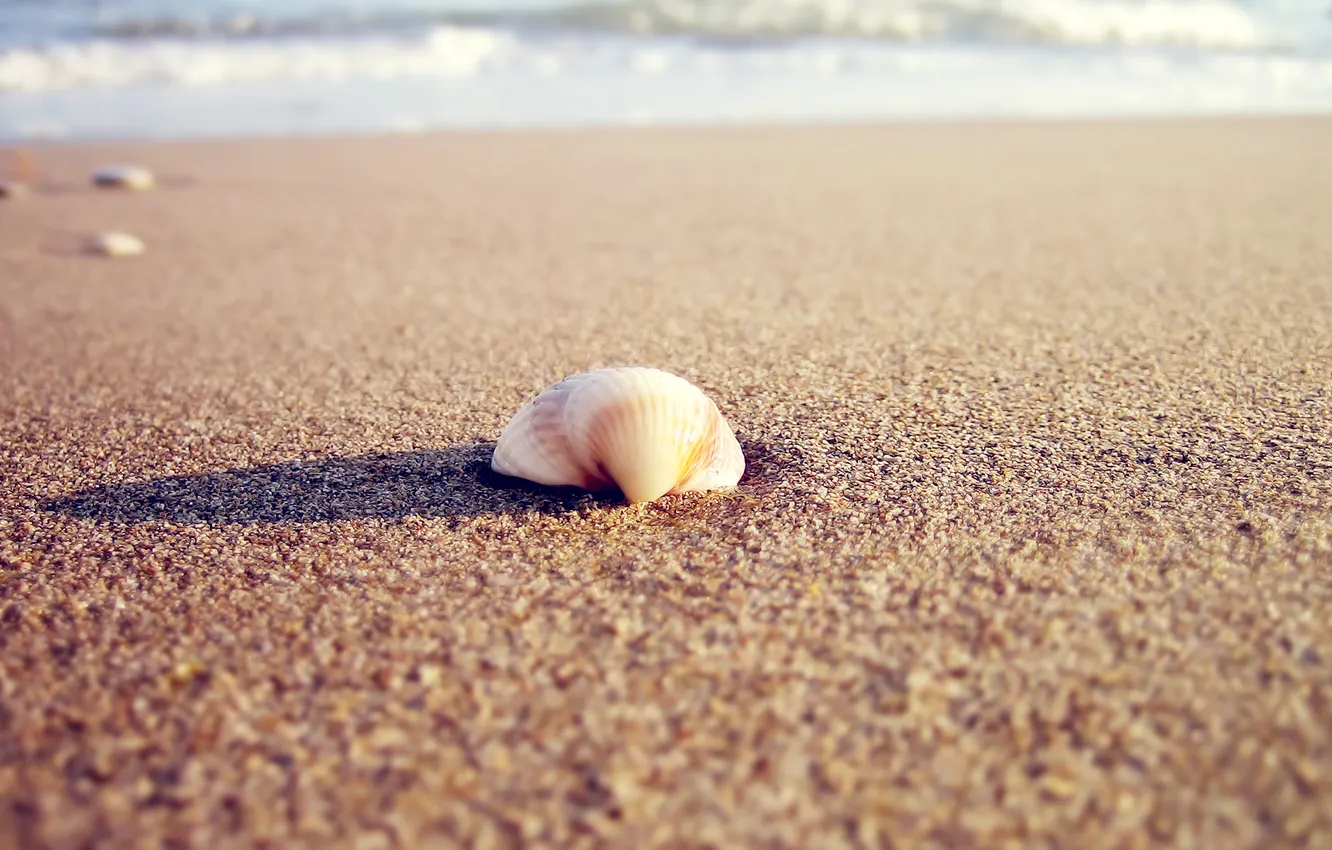 Фото обои песок, море, пляж, вода, солнце, макро, свет, природа
