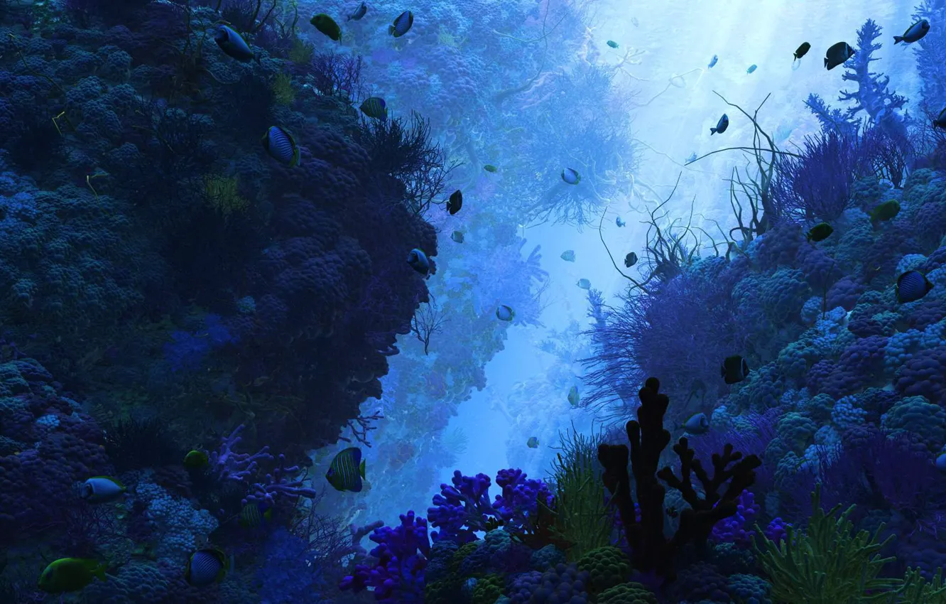Фото обои рыбки, водоросли, дно, глубина, кораллы
