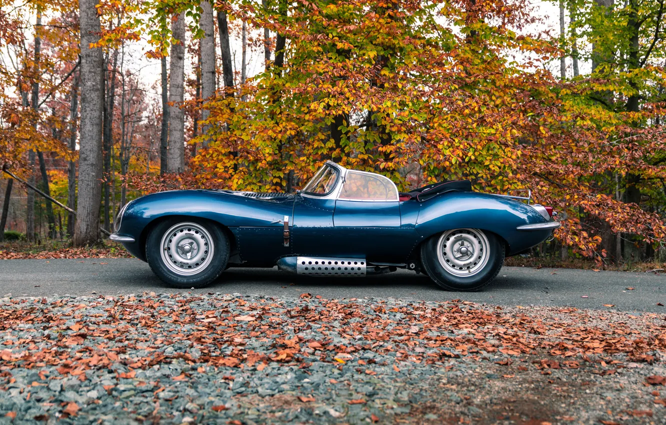 Фото обои Jaguar, side, 1957, XKSS, Jaguar XKSS