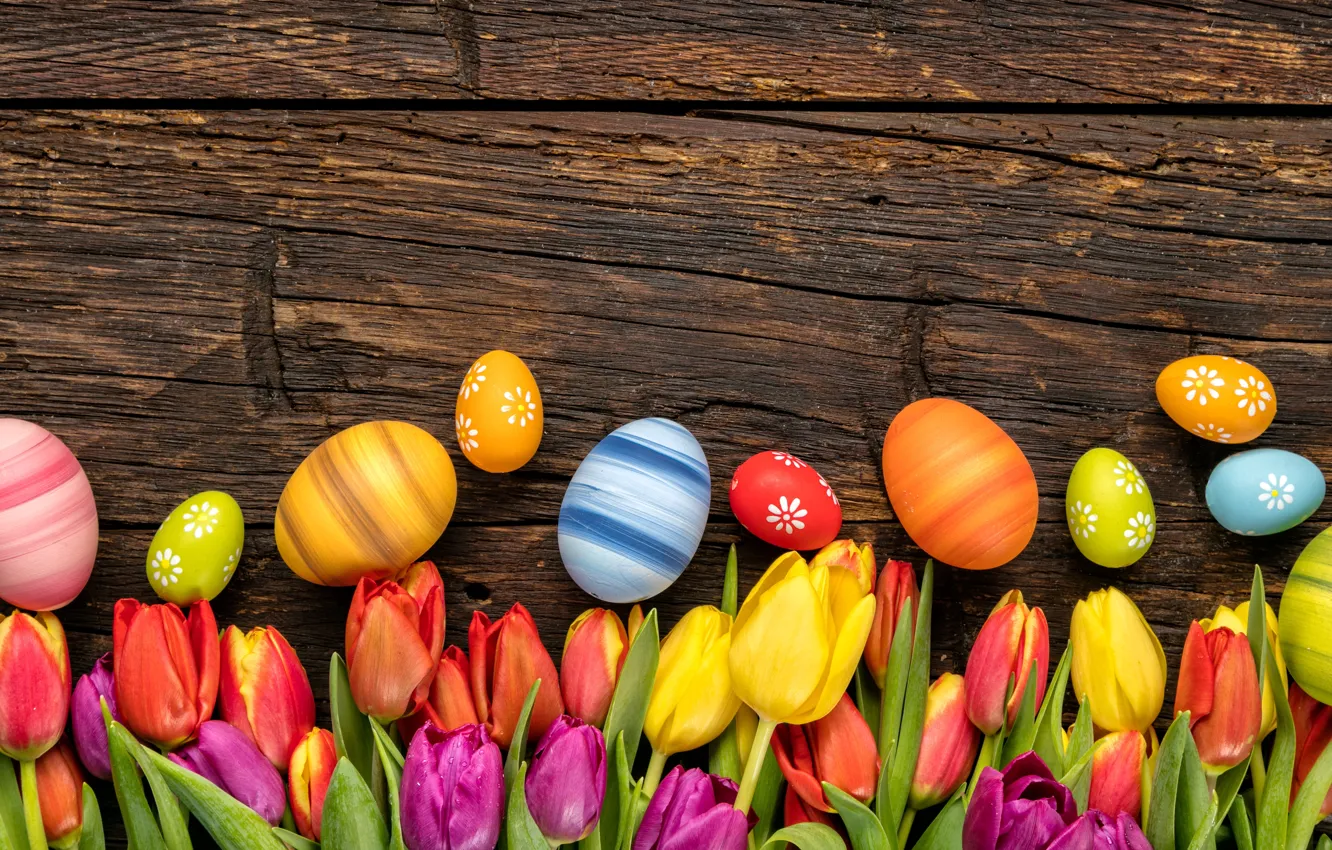 Фото обои colorful, Пасха, тюльпаны, happy, wood, flowers, tulips, spring