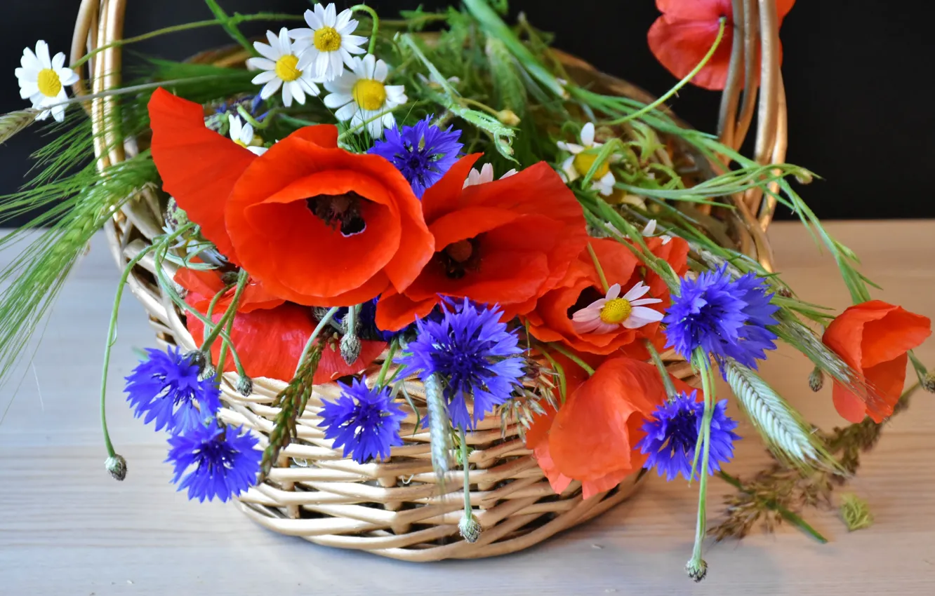 Фото обои цветы, корзина, маки, ромашки, колосья, васильки
