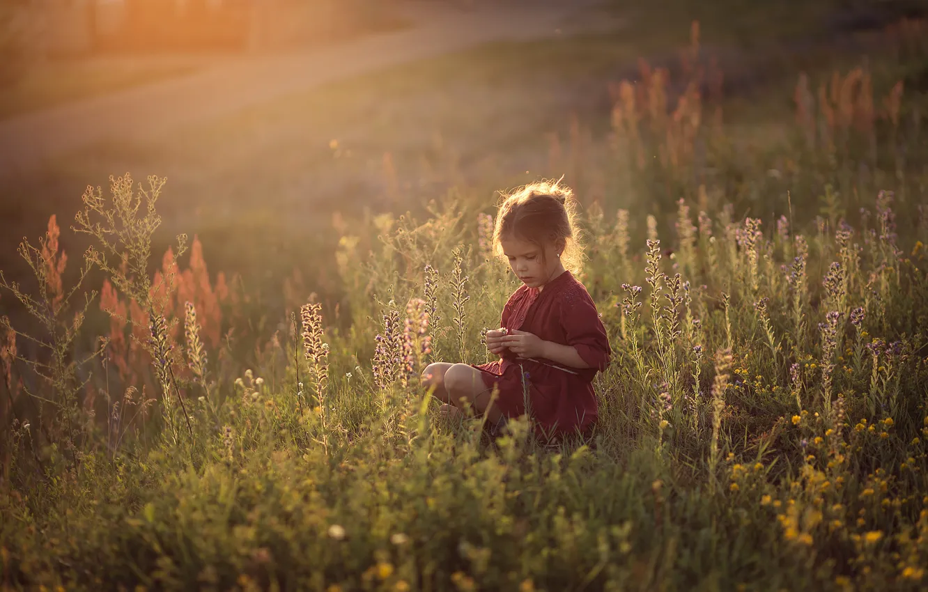 Фото обои поле, трава, детство, девочка
