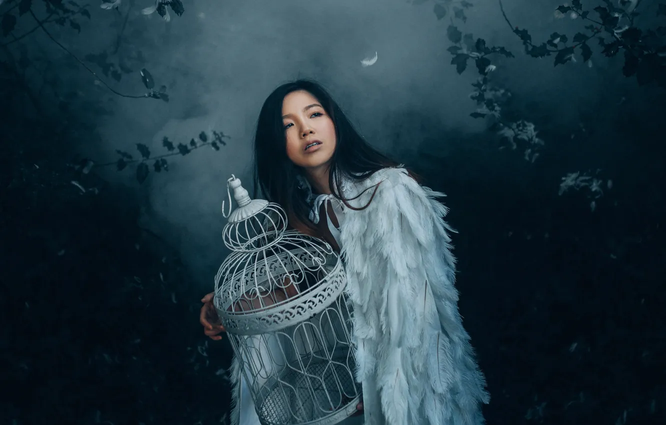 Фото обои девушка, ночь, природа, туман, темный фон, птица, крылья, ангел