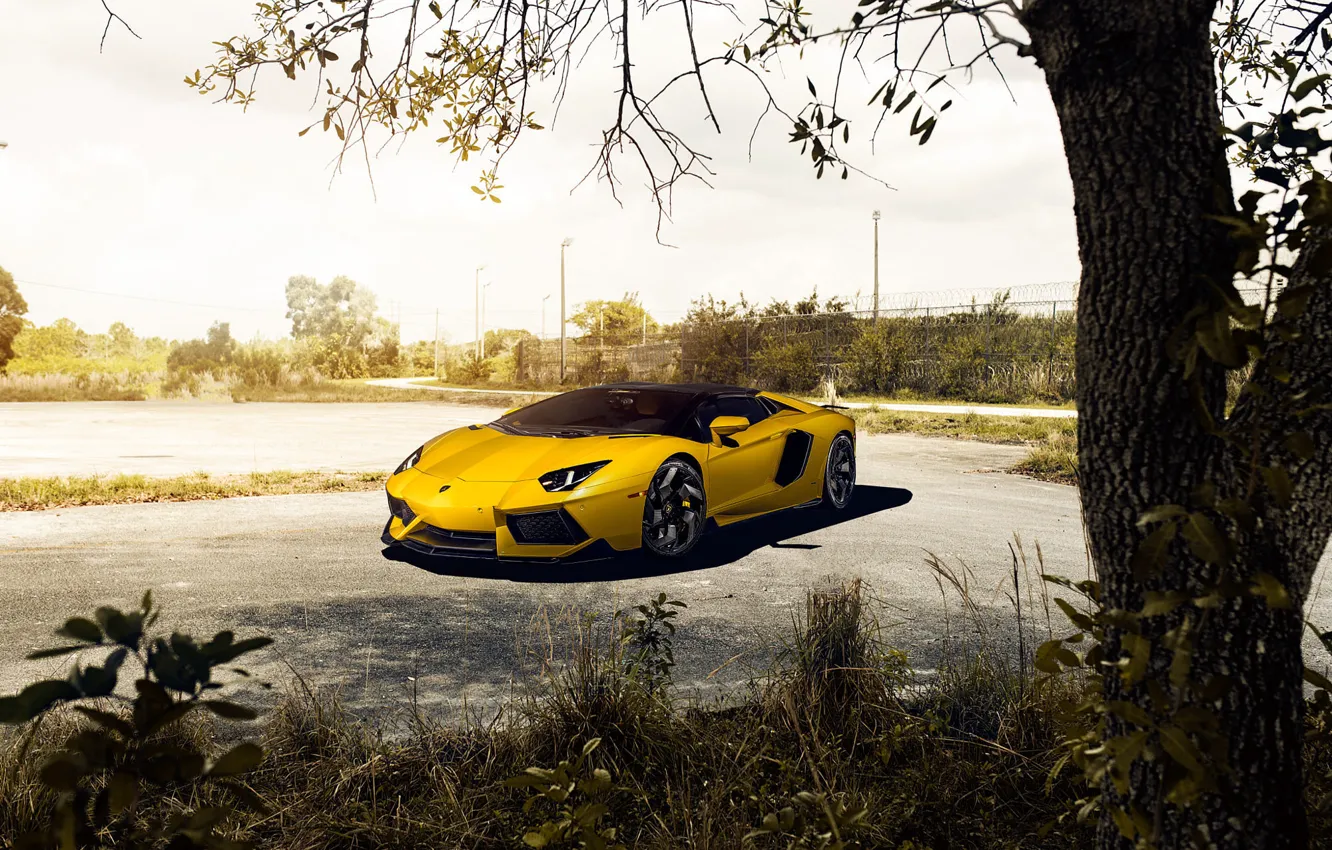 Фото обои Roadster, Lamborghini, Front, Vorsteiner, Yellow, LP700-4, Aventador, Supercar