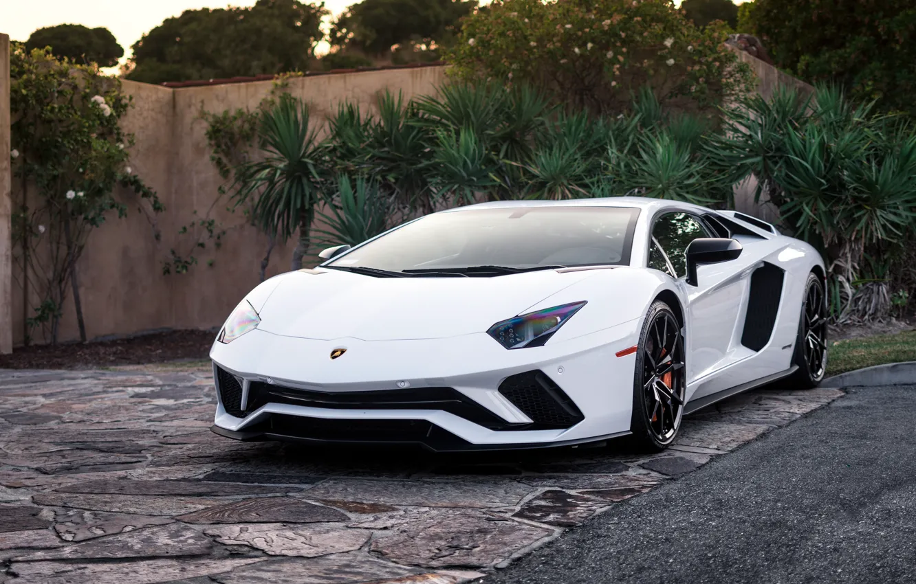 Фото обои Lamborghini, White, Aventador