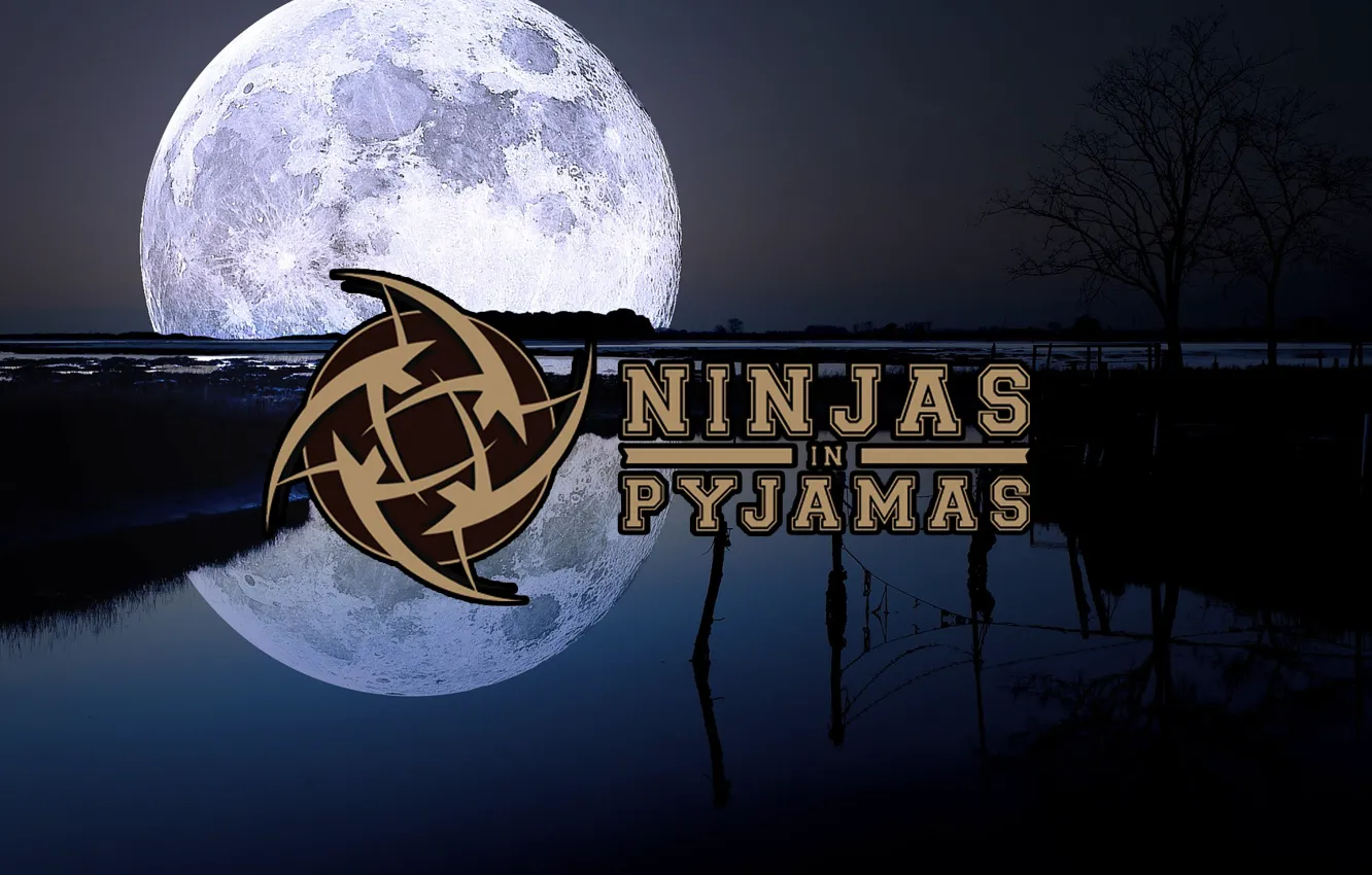 Фото обои CSGO, nip, NiP, Counter-Strike: Global Offensive, Ninjas in Pyjamas, Proffesional team