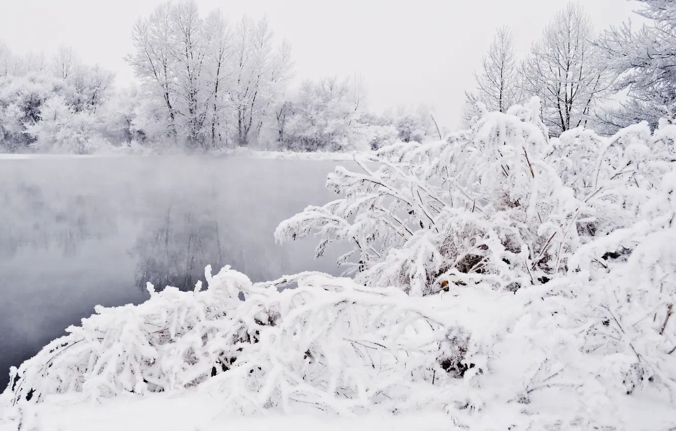 Фото обои Зима, Снег, Пруд, Мороз, Blizzard, Winter, Frost, Snow