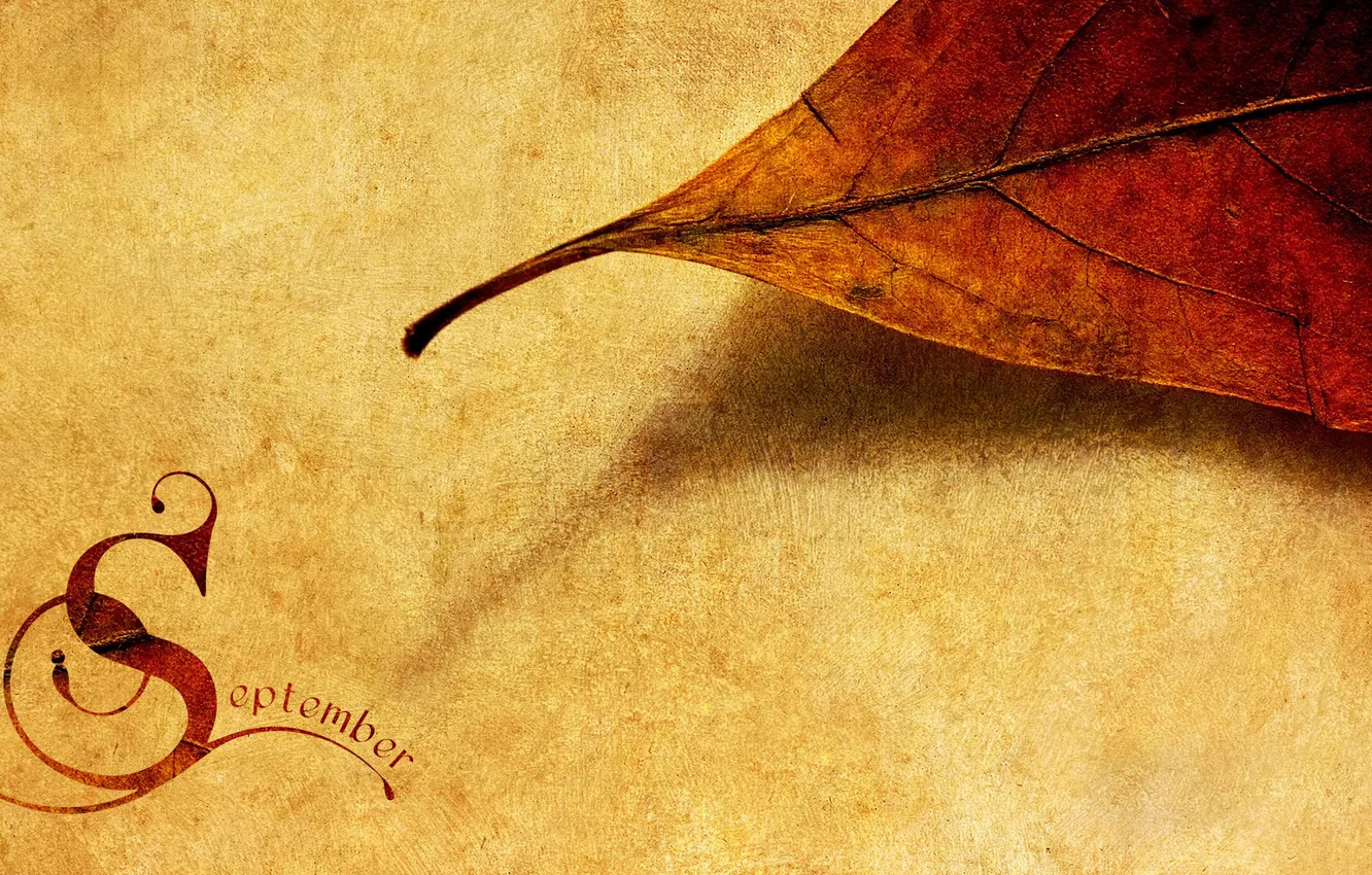 Фото обои осень, настроение, надпись, текстура, месяц, сентябрь, опавшие листья