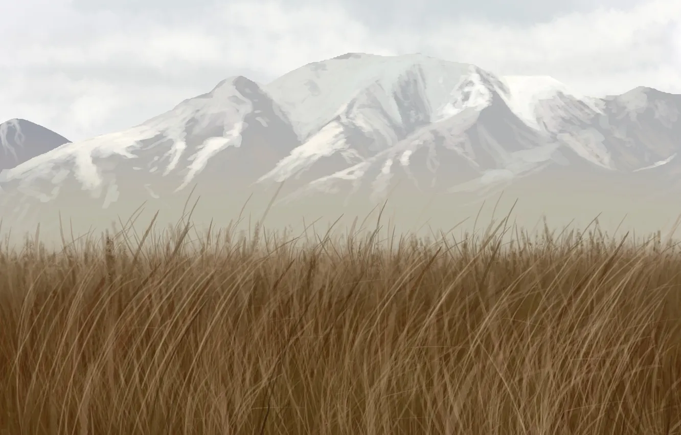 Фото обои трава, снег, горы, вершины, арт, гряда