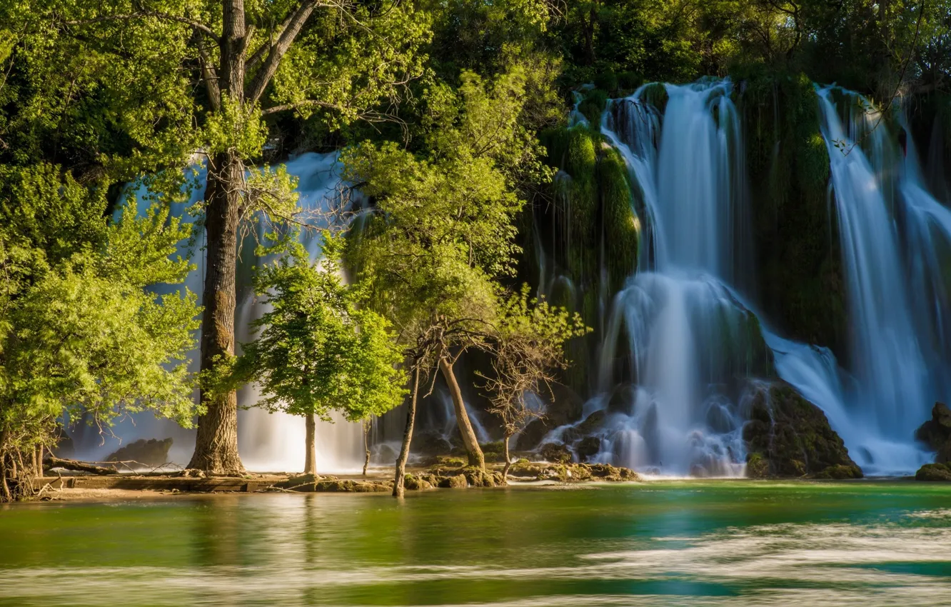 Фото обои деревья, река, водопад, Босния и Герцеговина, Bosnia and Herzegovina, Kravice Falls, Trebizat river