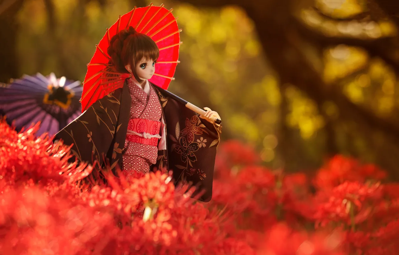 Фото обои цветы, красный, зонтик, японка, кукла, костюм