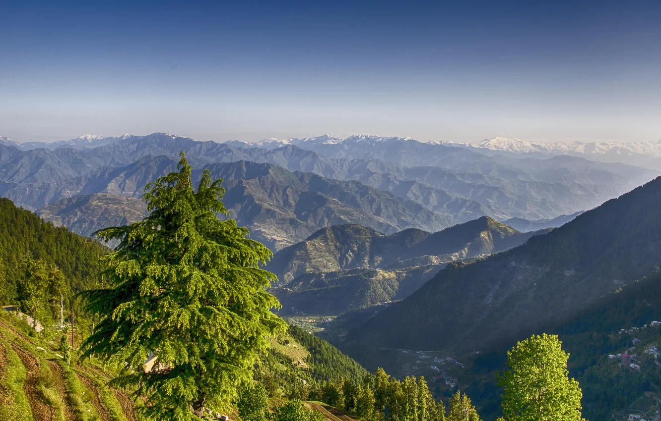 Фото обои trees, landscape, nature, mountains