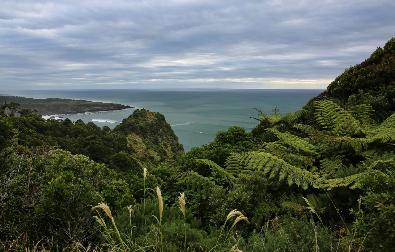 Фото обои Новая Зеландия, Тасманово море, Национальный парк Папароа