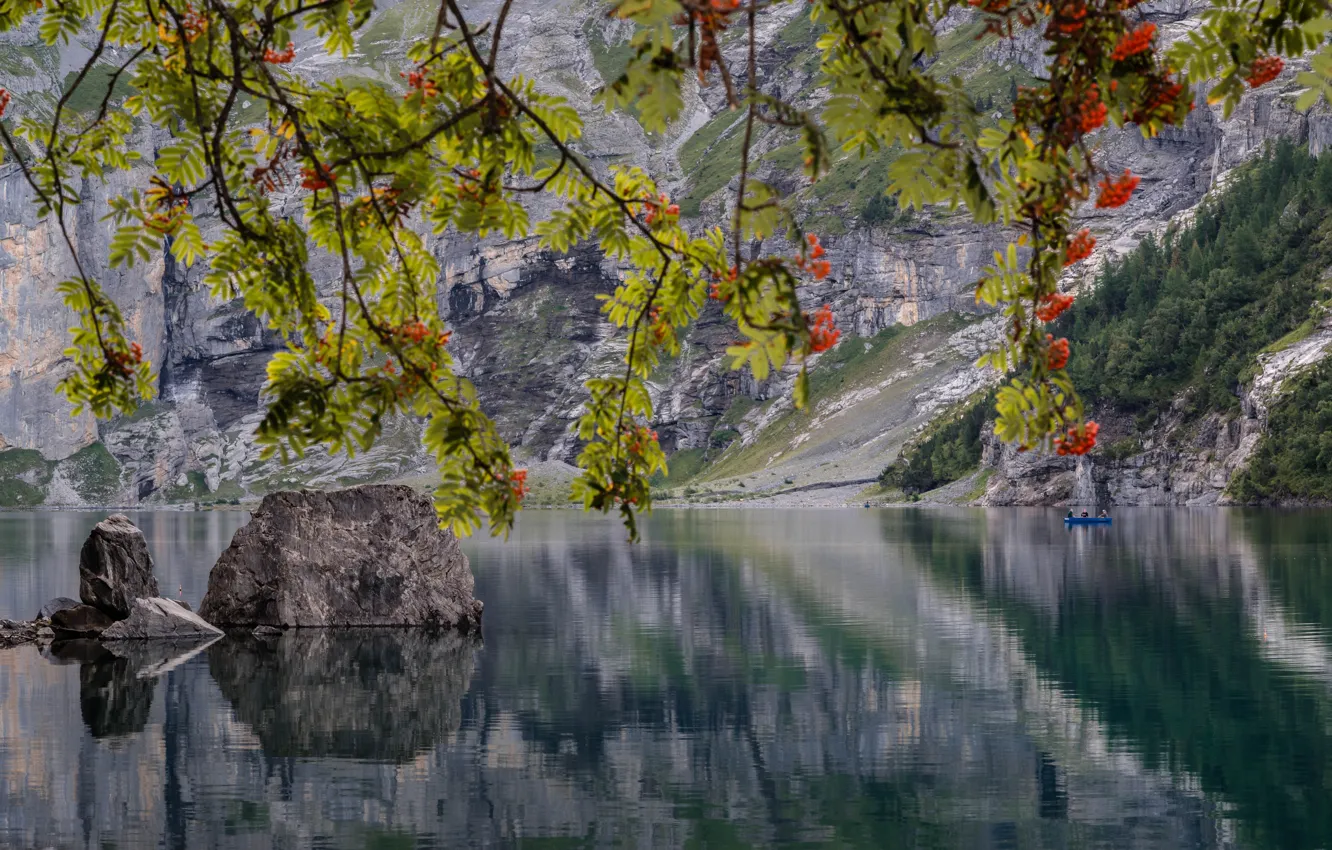 Фото обои осень, ветки, озеро, камни, лодка, Швейцария, рыбаки, Switzerland