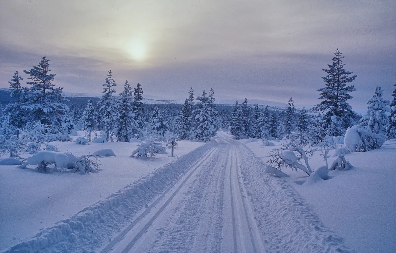 Фото обои зима, дорога, снег, ели, дервья, Финляндия, Finland, Саариселькя