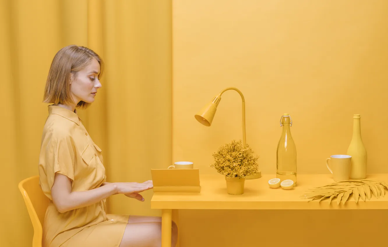 Фото обои woman, yellow, scene, book, reading