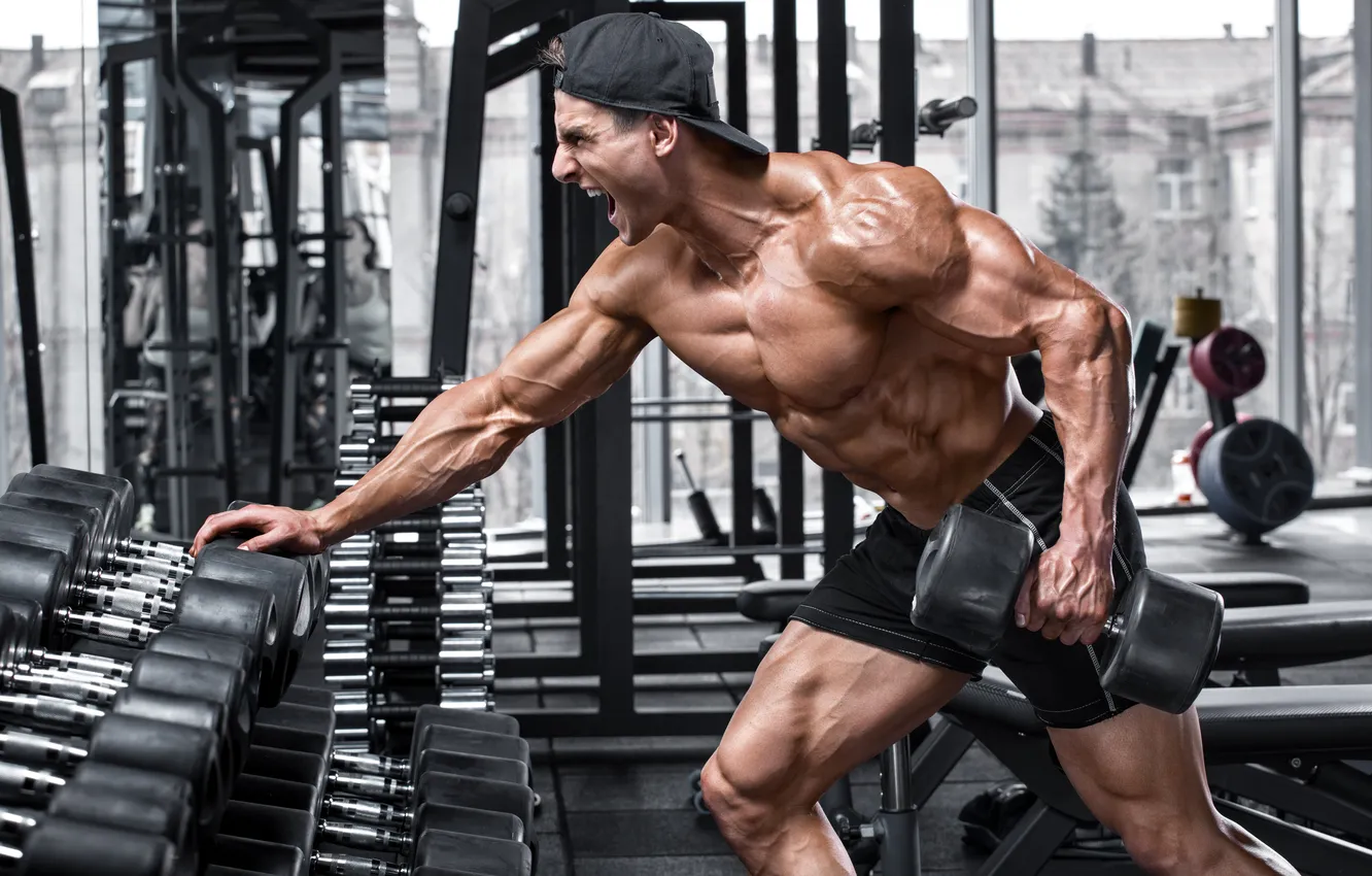 Фото обои body, chest, bodybuilding, dumbbell, biceps, bodybuilder, diet
