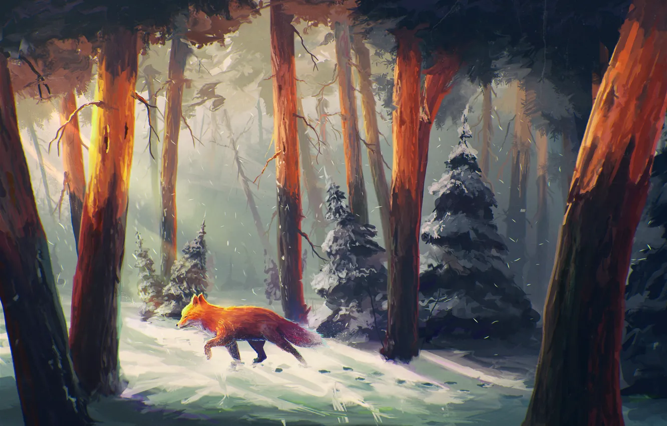 Фото обои зима, лес, снег, деревья, следы, елка, арт, лиса
