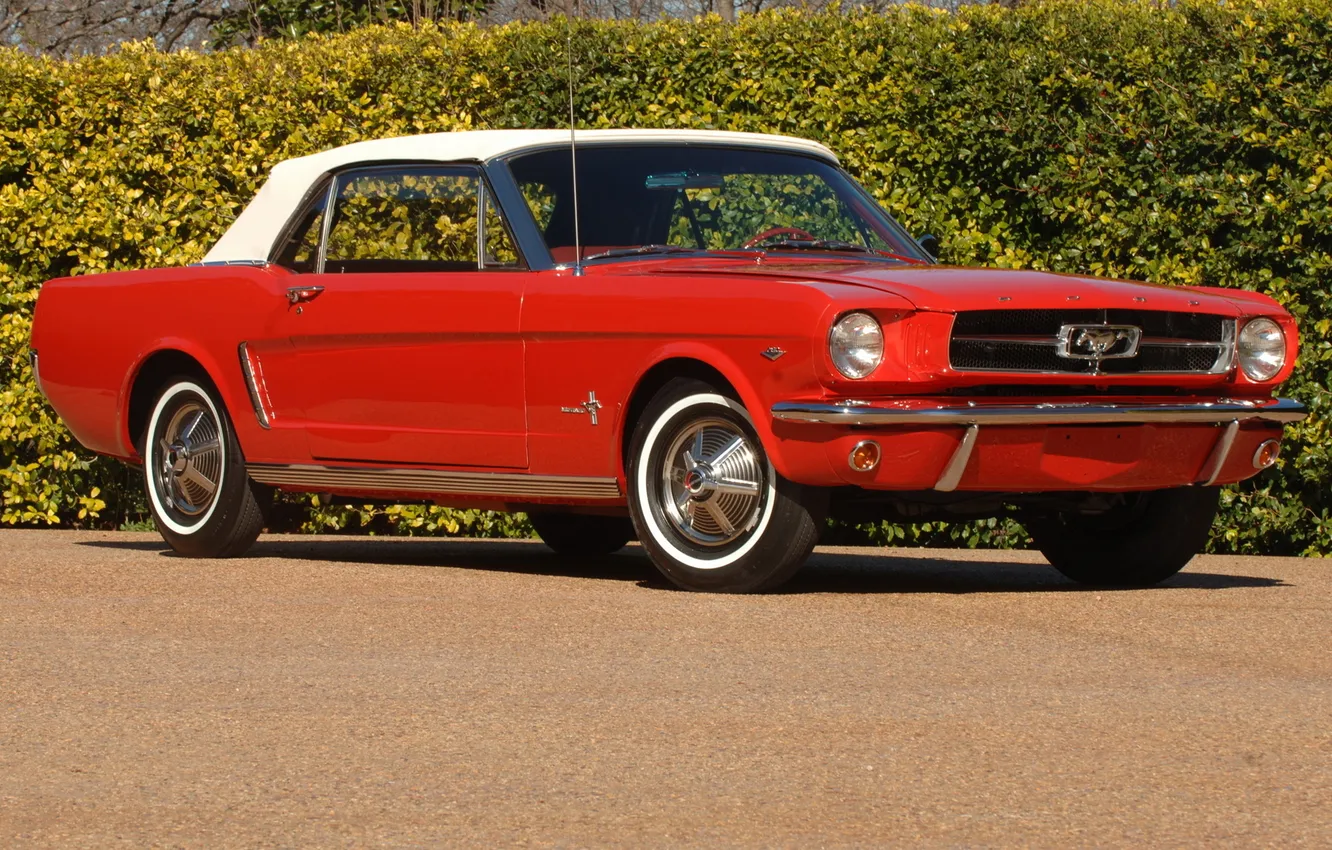 Фото обои красный, конь, Mustang, классика, 1964, Convertible, мягкий верх