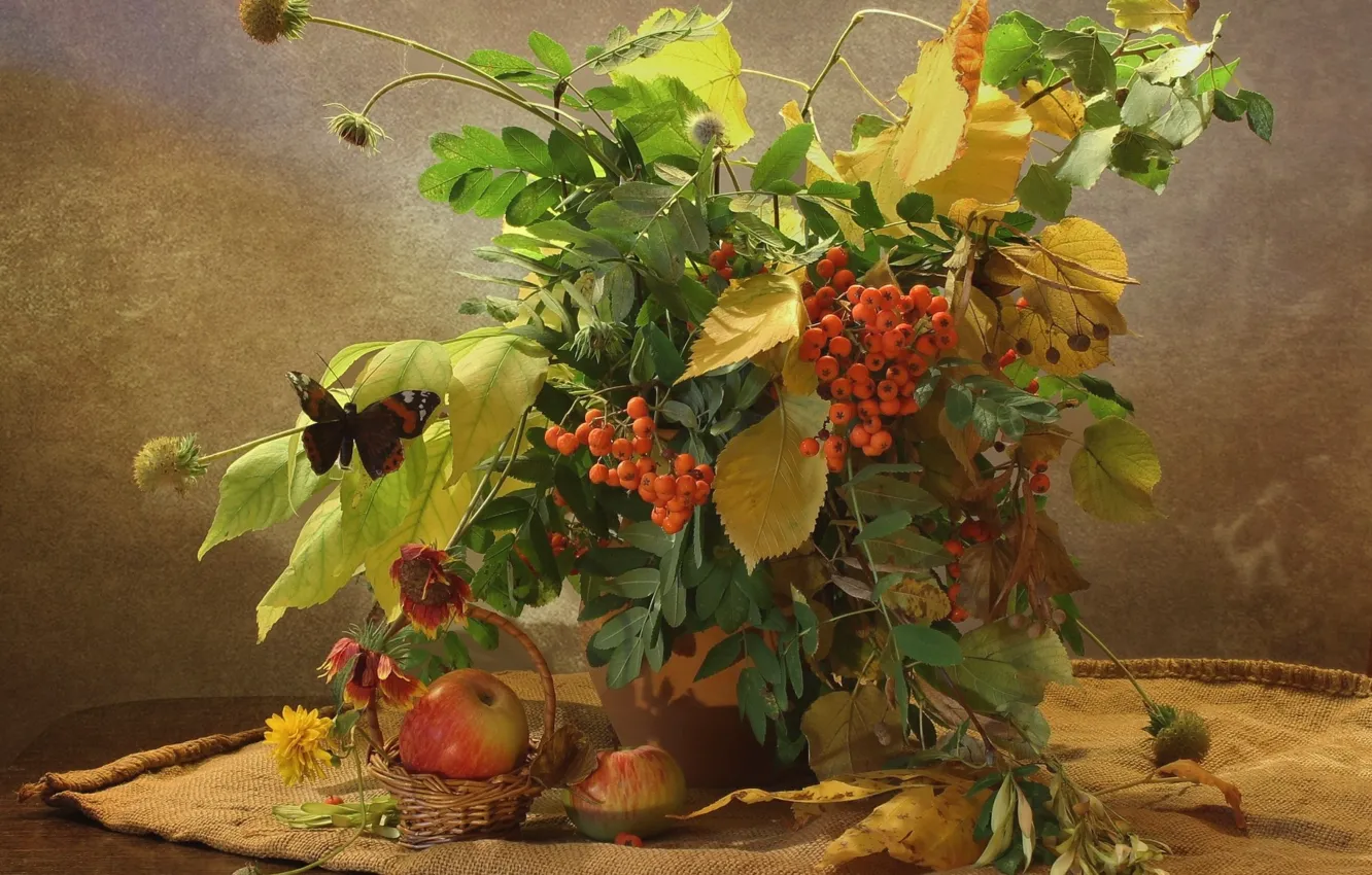 Фото обои осень, ягоды, натюрморт