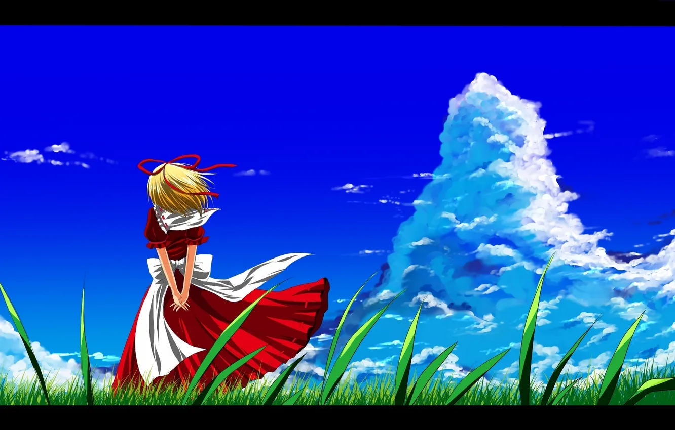 Фото обои трава, девушка, ветер, облако, платье, арт, touhou, спиной