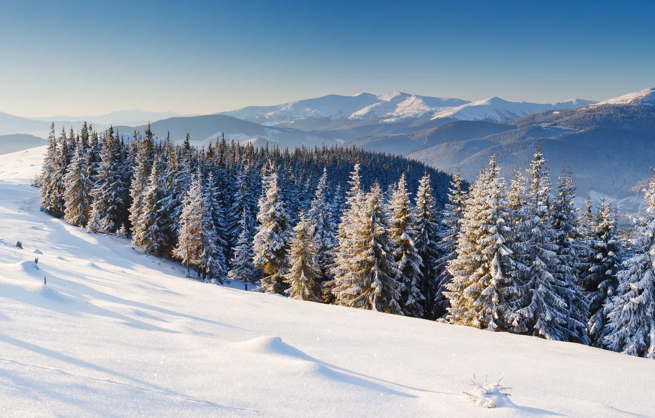 Фото обои зима, снег, горы, ёлки