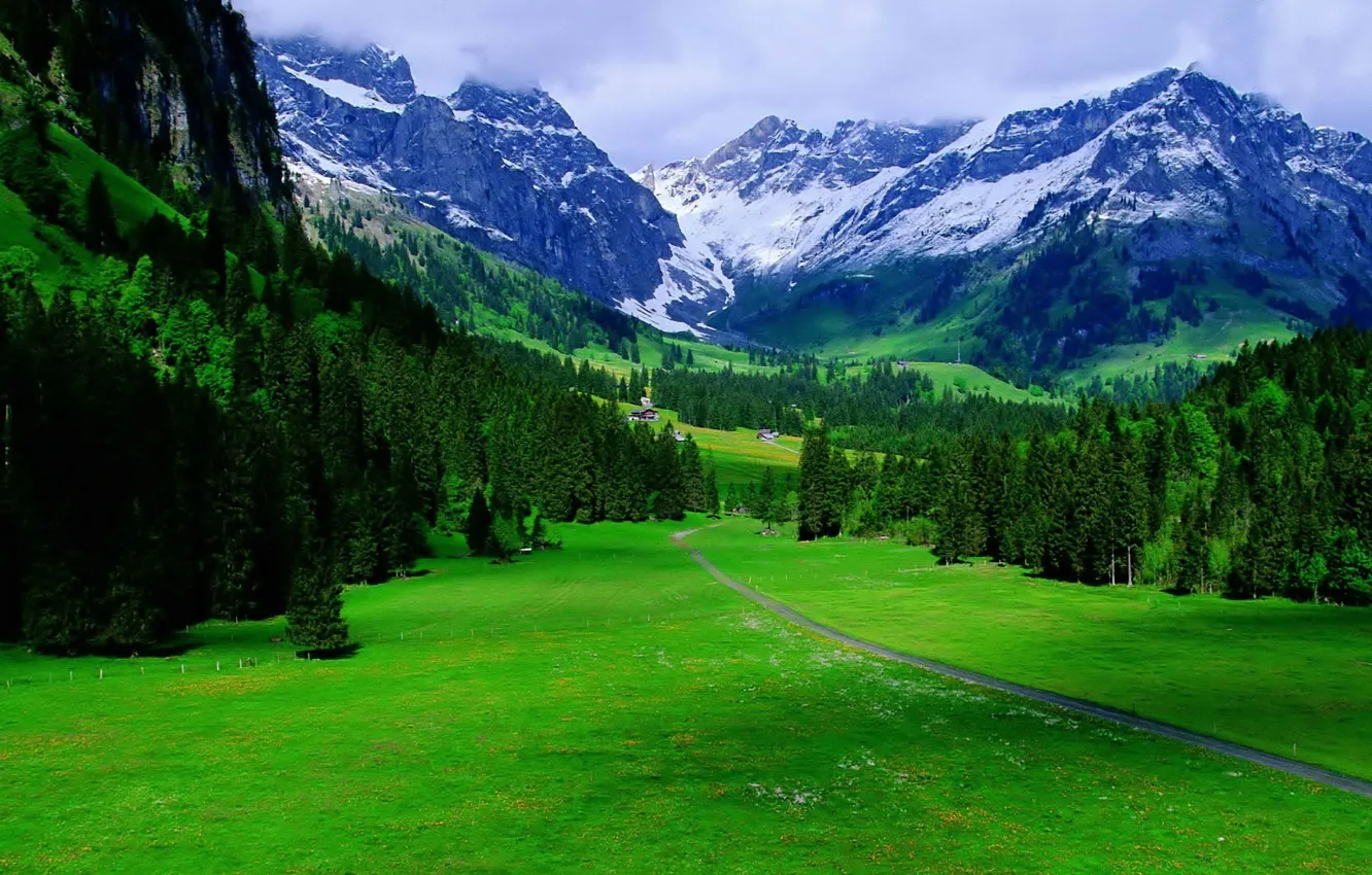 Фото обои road, trees, mountains