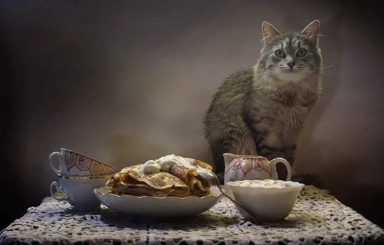 Фото обои кот, стол, животное, чайник, чашки, натюрморт, блины, салфетка
