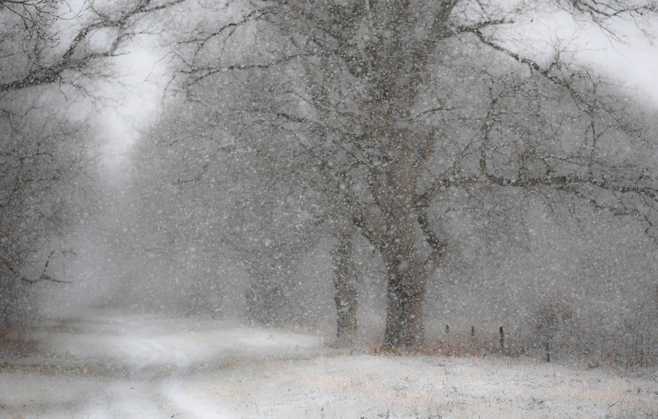 Фото обои зима, дорога, снег, природа