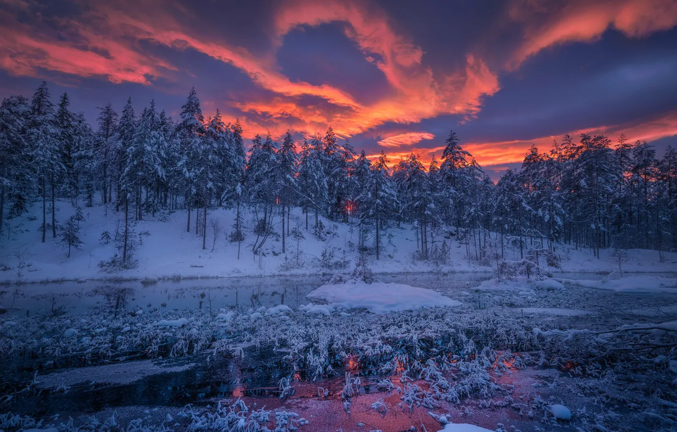 Фото обои холод, лед, зима, лес, снег, ночь, река, Norway