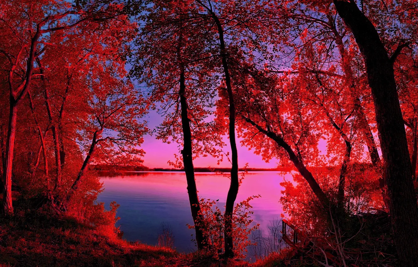 Фото обои осень, небо, деревья, закат, река, фильтр
