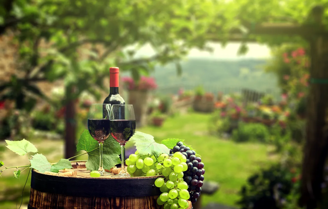 Фото обои зелень, листья, фон, вино, бутылка, сад, бокалы, виноград