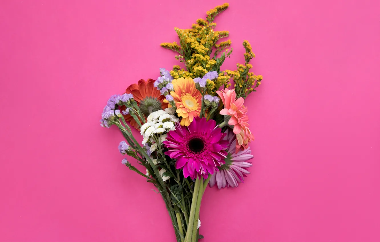 Фото обои цветы, фон, букет, colorful, розовые, герберы, pink, flowers
