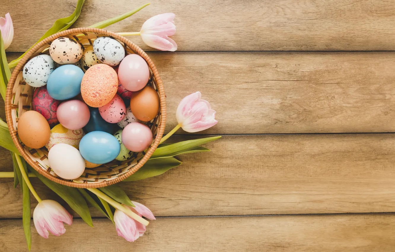 Фото обои праздник, корзина, яйца, Пасха, тюльпаны